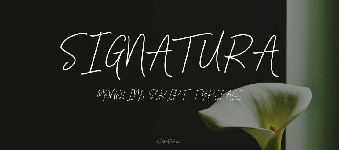 Signatura Monoline Script Font