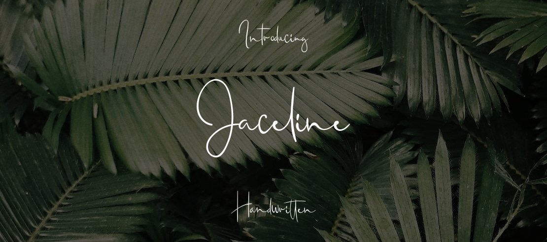 Jaceline Font