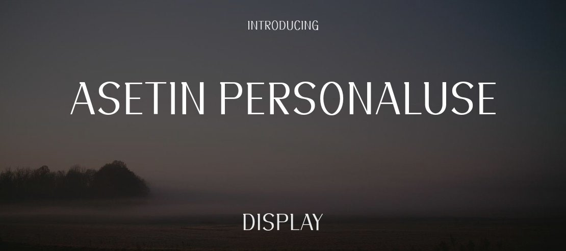 Asetin Personaluse Font Family