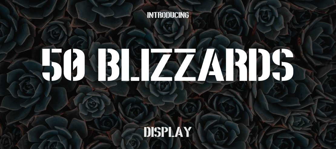 50 Blizzards Font