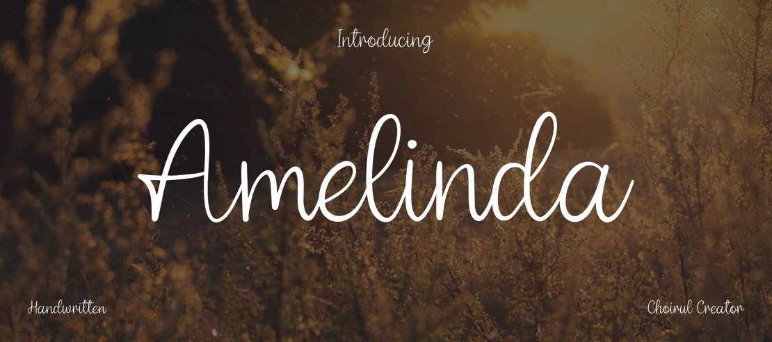 Amelinda Font