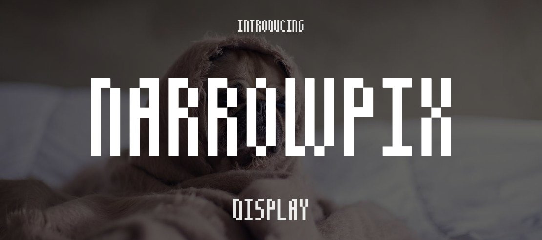 NarrowPix Font