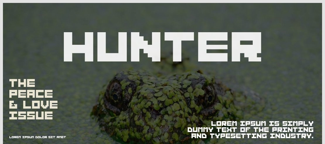 Hunter Font