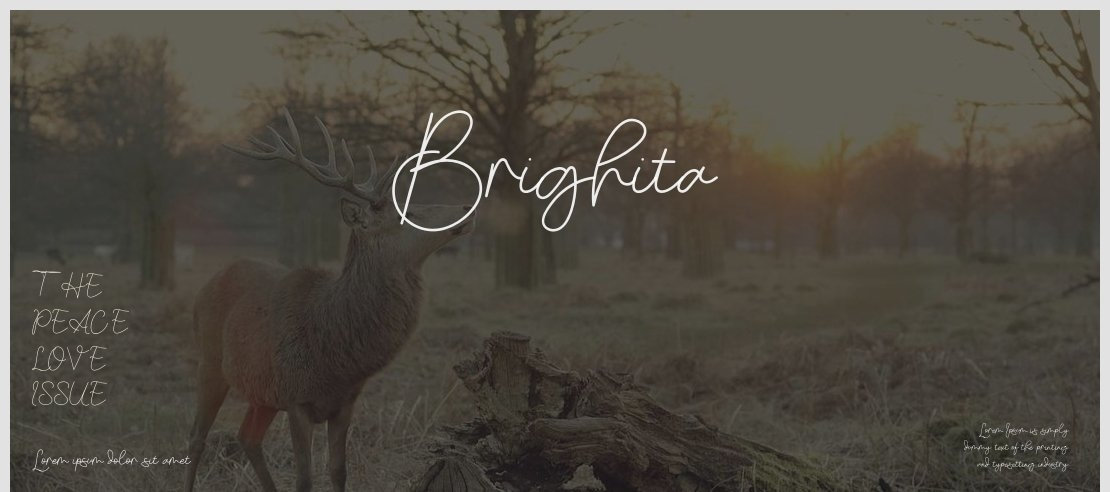 Brighita Font