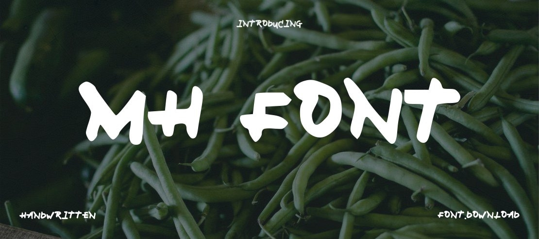 MH_Font Font