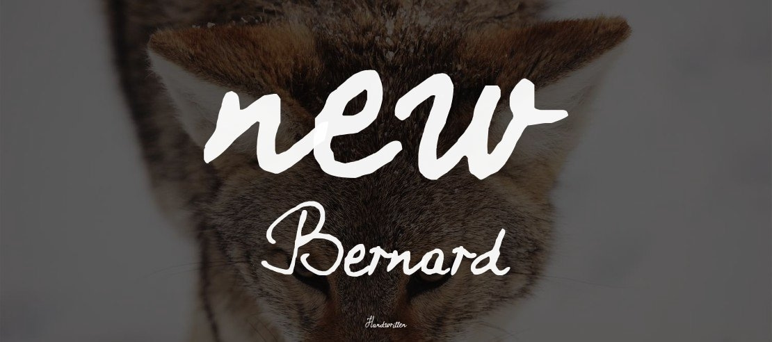 new Bernard Font
