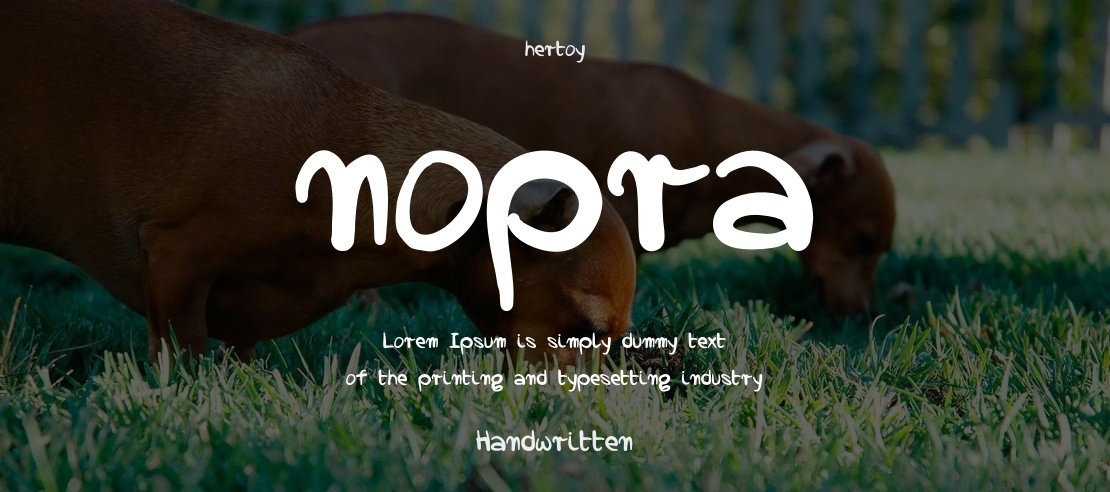 nopra Font