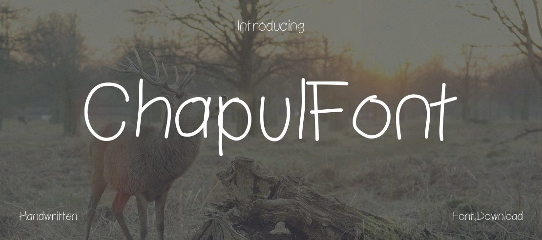 ChapulFont Font