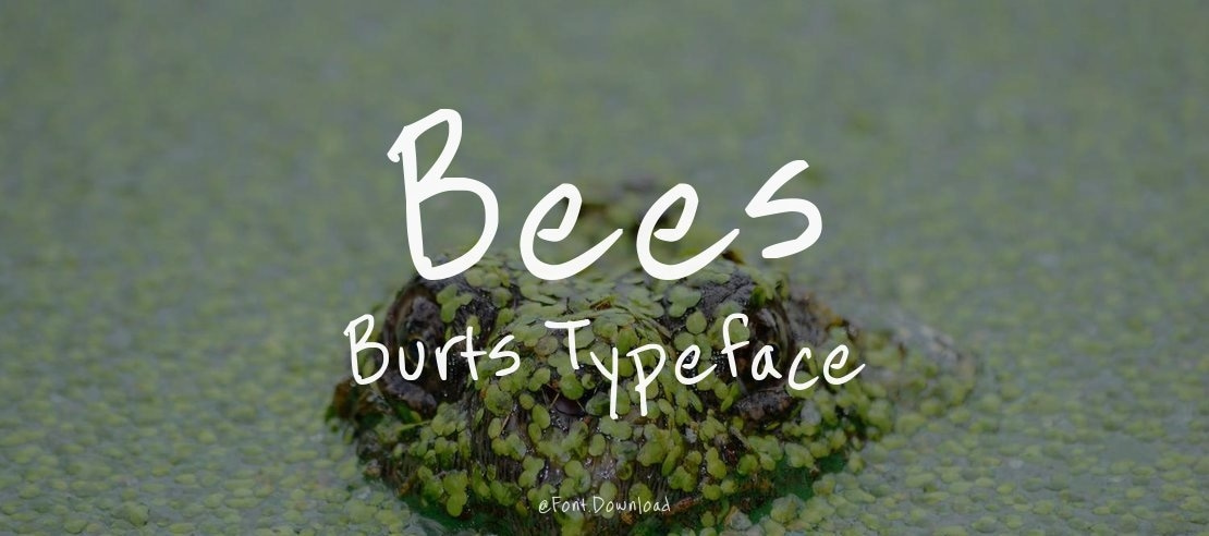 Bees Burts Font