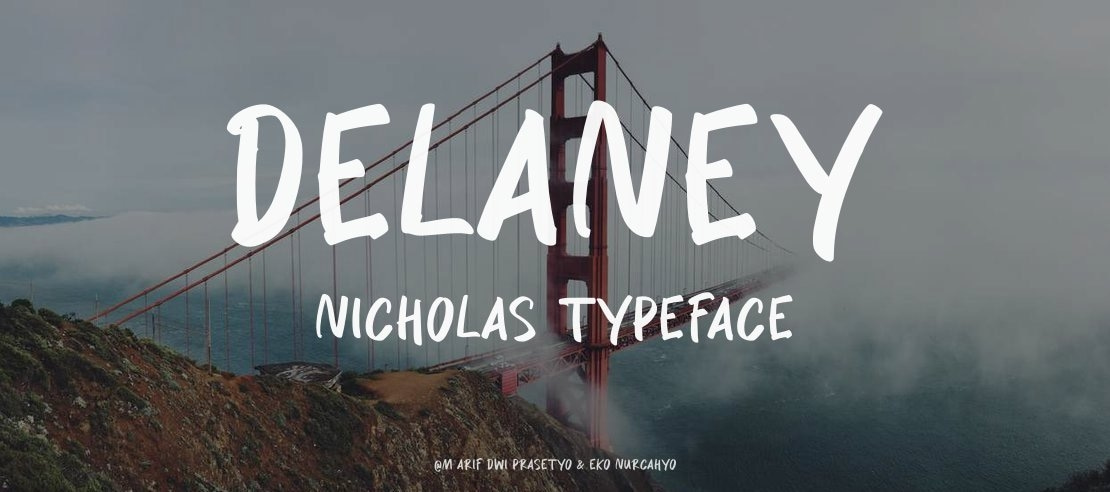 Delaney Nicholas Font