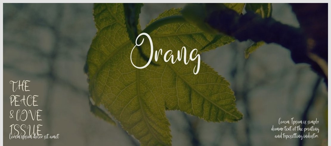 Orang Font