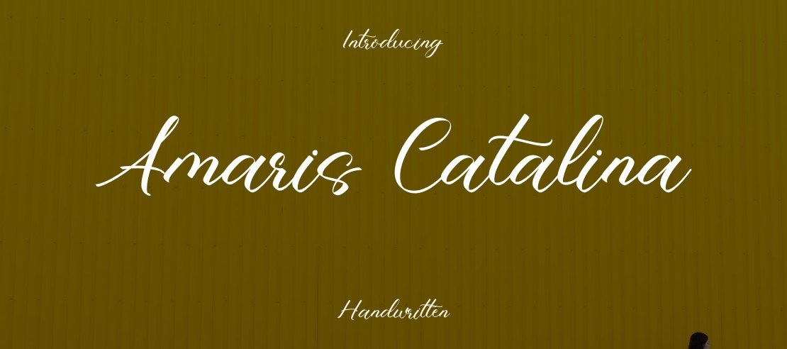 Amaris Catalina Font