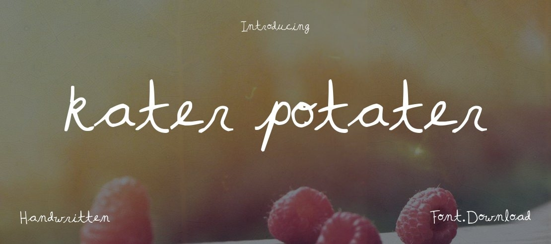 kater potater Font