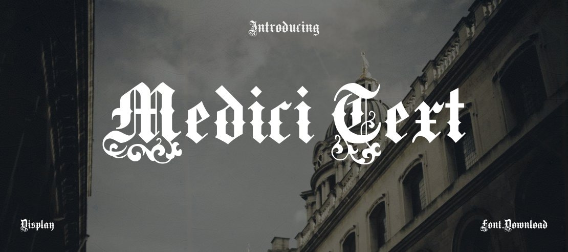 Medici Text Font Family