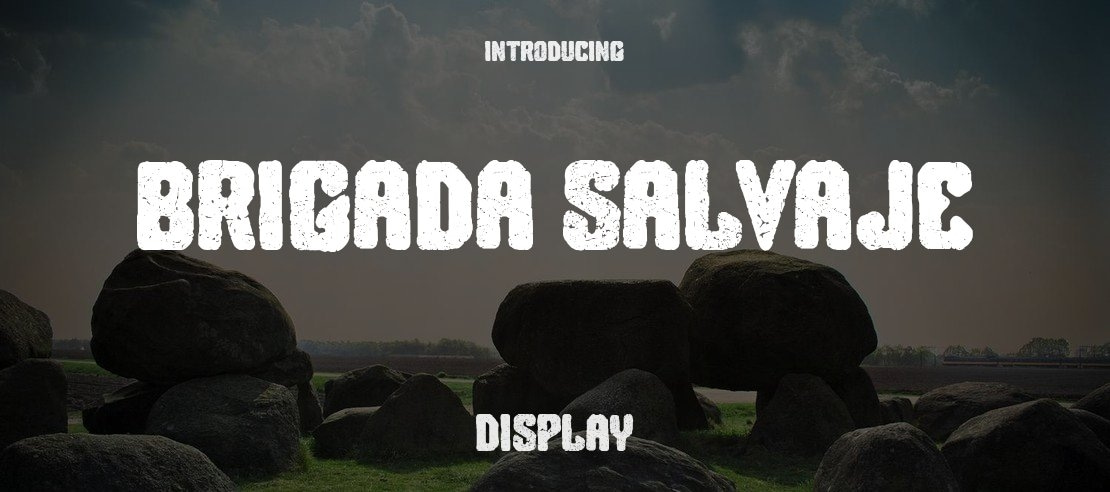 Brigada Salvaje Font