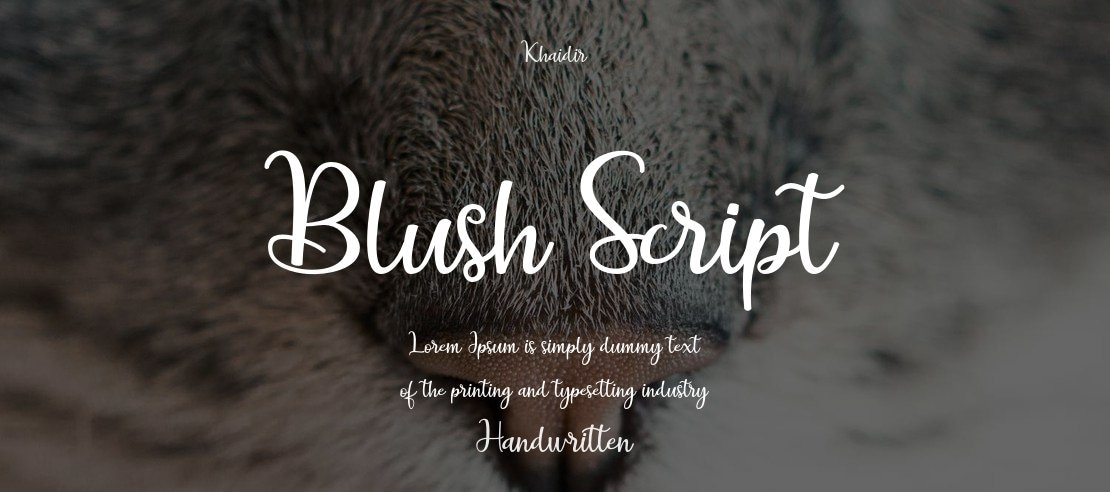 Blush Script Font