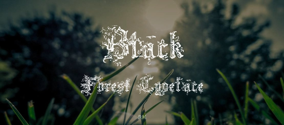 Black Forest Font