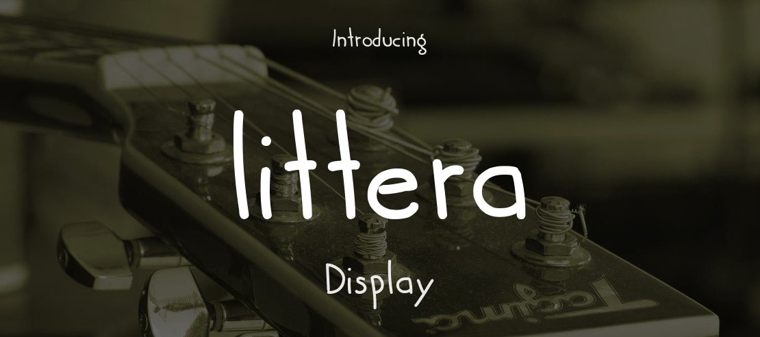 littera Font