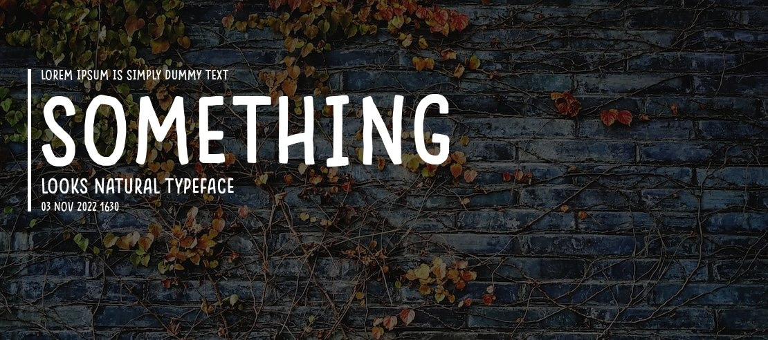 Something Looks Natural Font Family