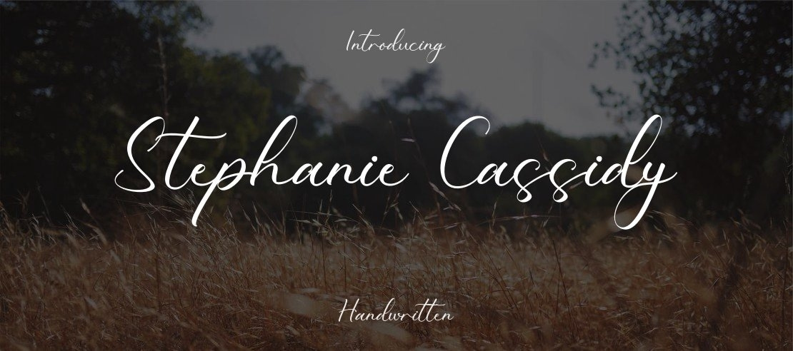 Stephanie Cassidy Font
