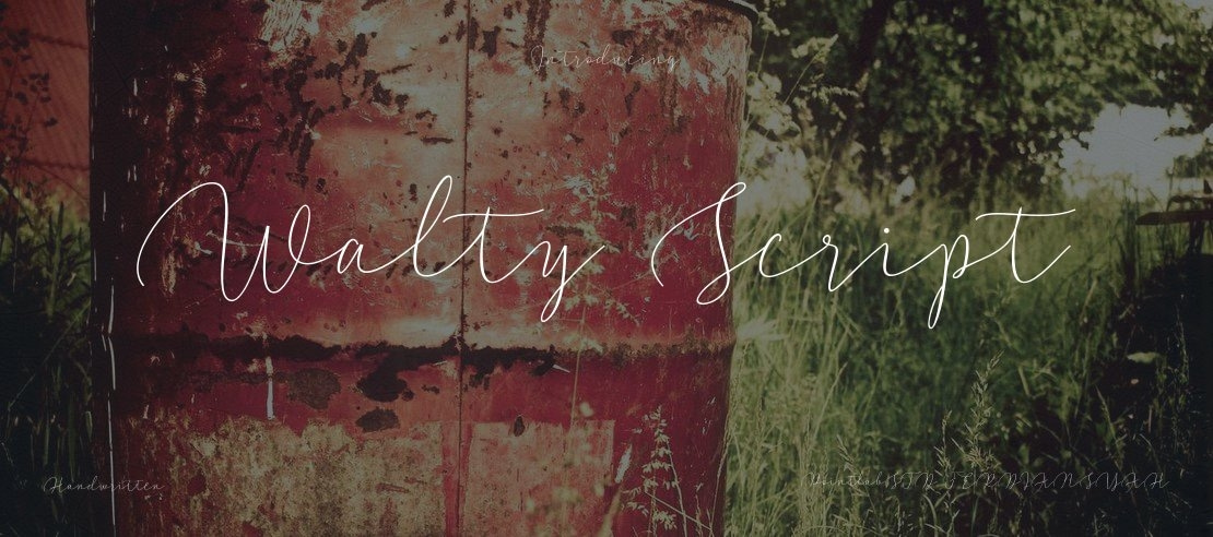 Walty Script Font