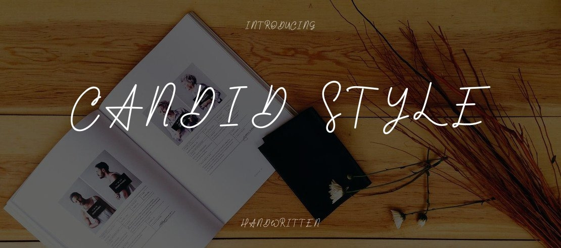 Candid Style Font