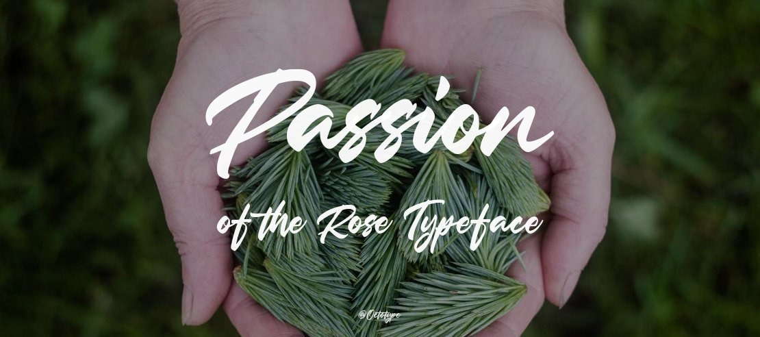 Passion of the Rose Font