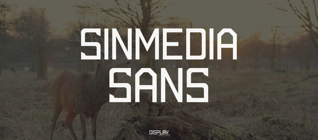 SinMedia Sans Font