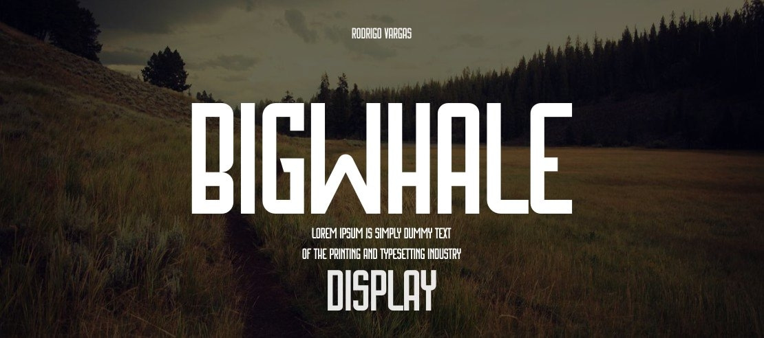 Bigwhale Font