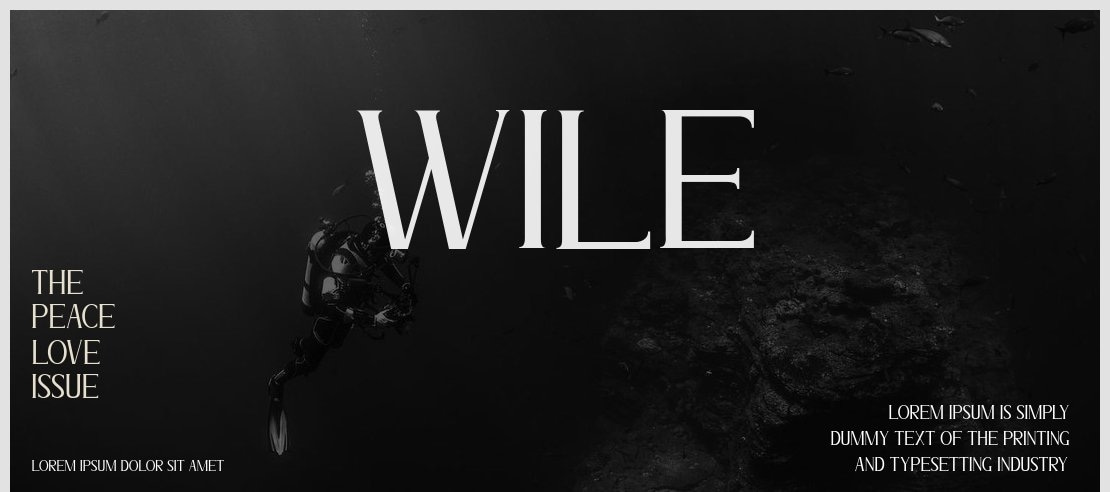 Wile Font