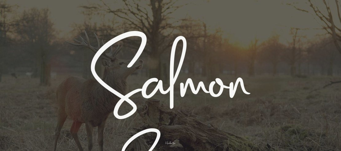 Salmon Script Font