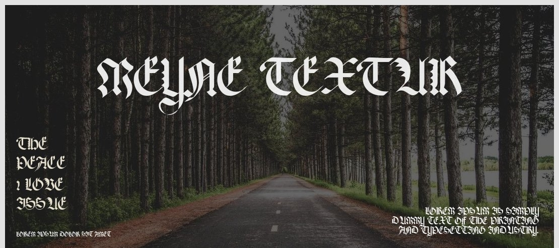 Meyne Textur Font