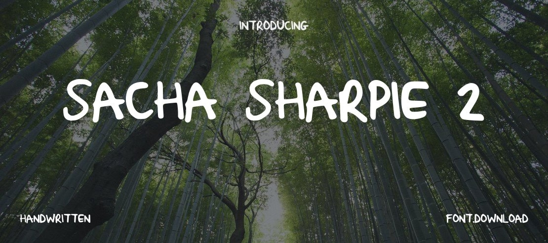 Sacha_Sharpie_2 Font