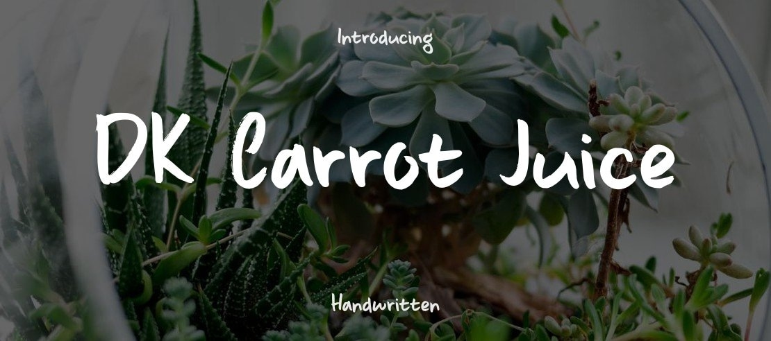 DK Carrot Juice Font