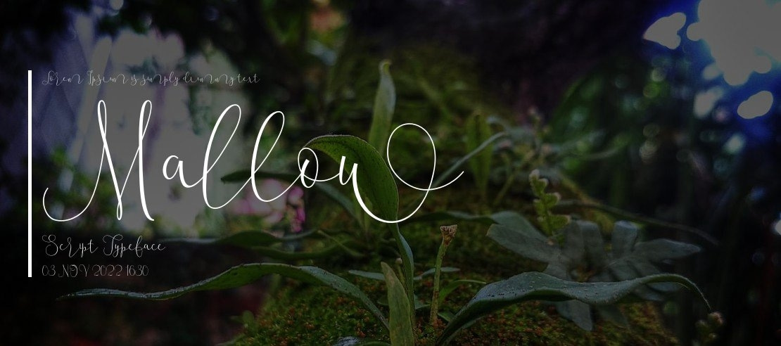 Mallow Script Font