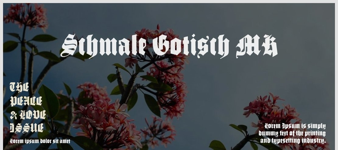 Schmale Gotisch MK Font Family