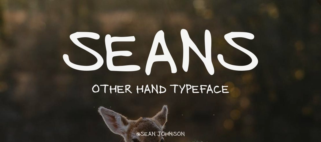 Seans Other Hand Font