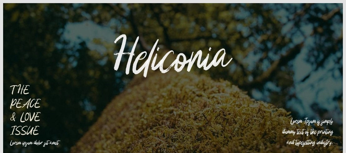 Heliconia Font