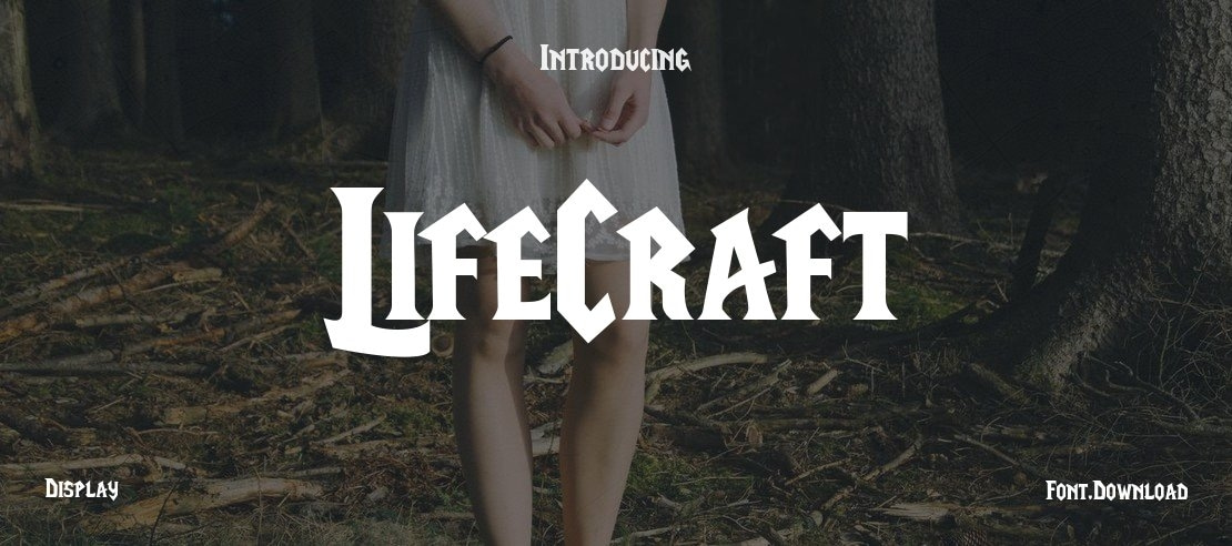 LifeCraft Font