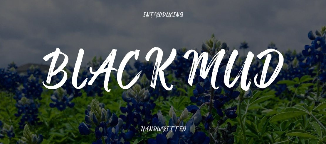 Black mud Font Family