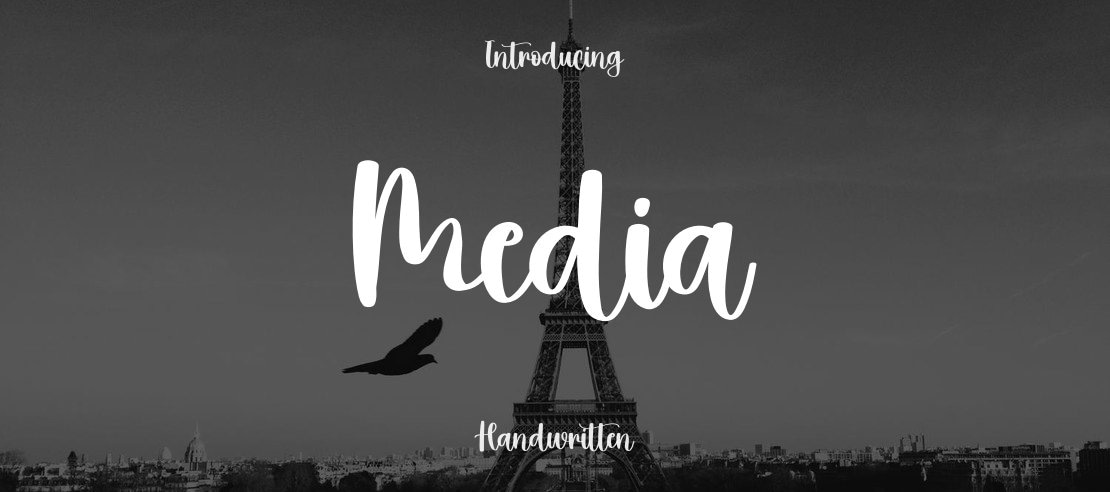 Media Font