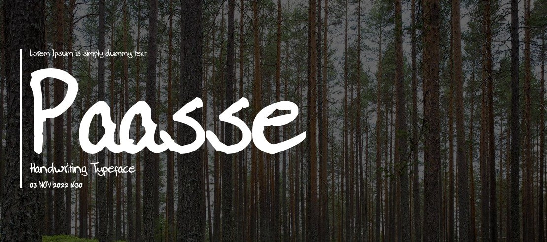 Paasse Handwriting Font