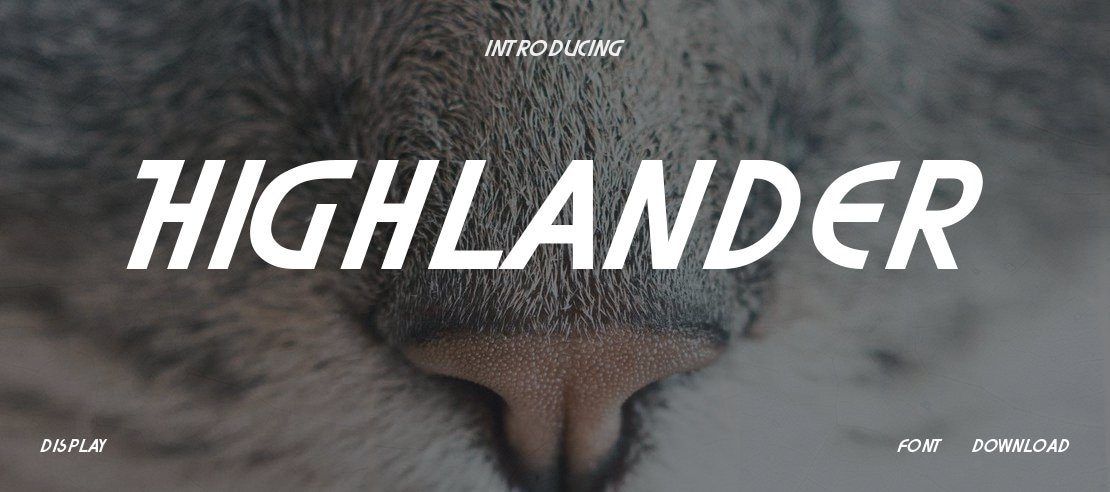 Highlander Font