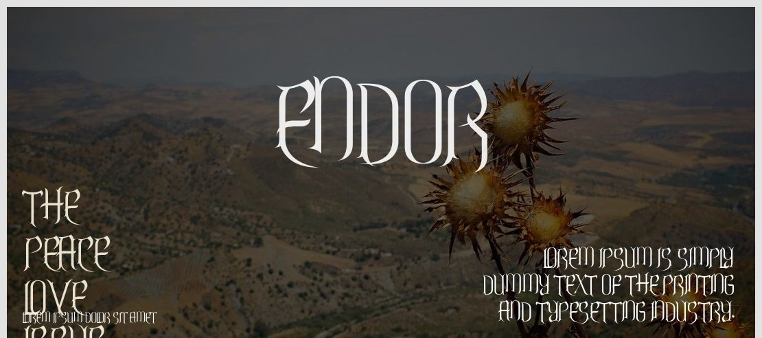 Endor Font Family