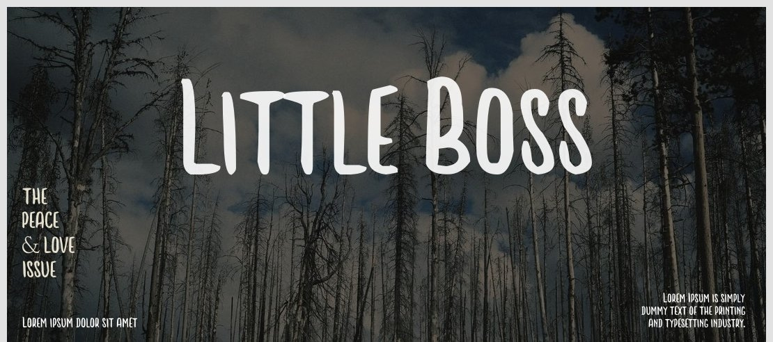Little Boss Font