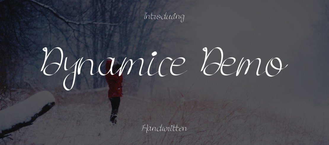 Dynamice Demo Font