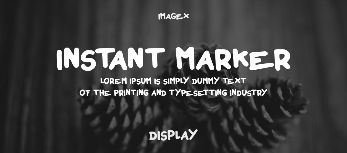 Instant Marker Font