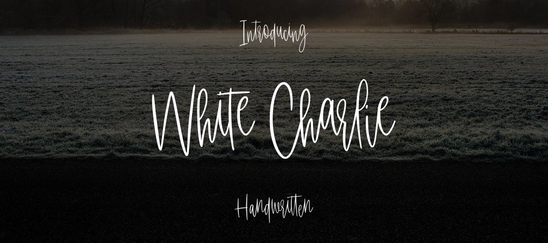 White Charlie Font