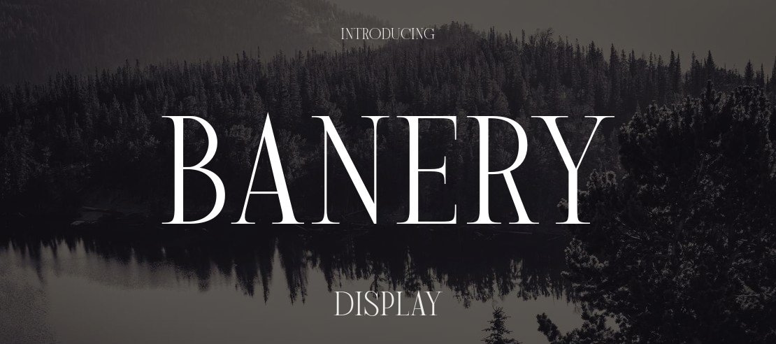 Banery Font