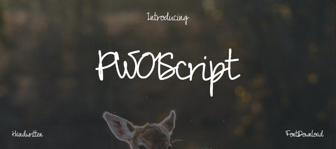 PW01Script Font